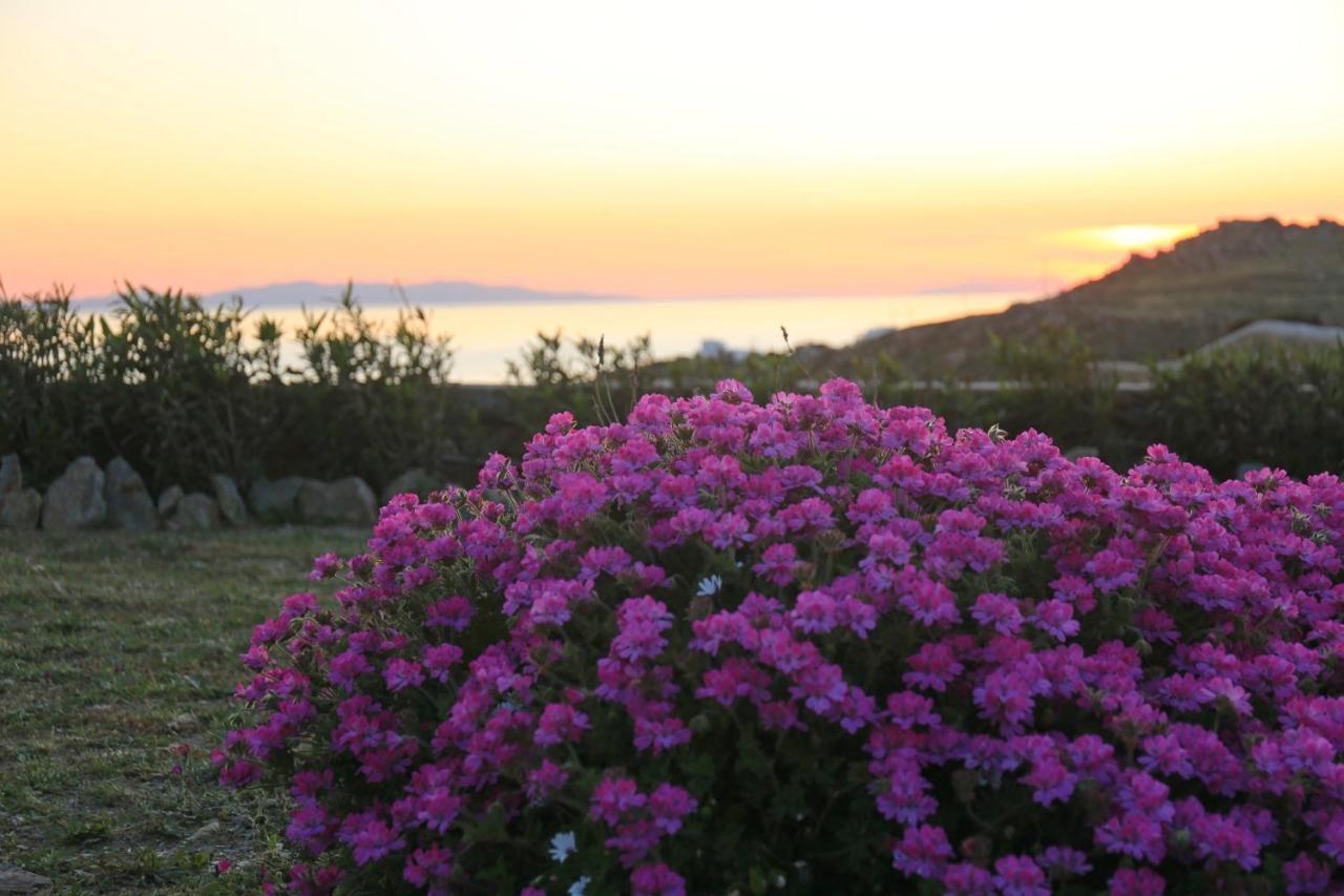 Paradisia Villas Tourlos Bagian luar foto